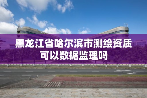 黑龍江省哈爾濱市測繪資質可以數據監理嗎