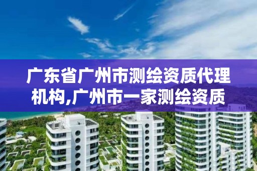 廣東省廣州市測繪資質代理機構,廣州市一家測繪資質單位