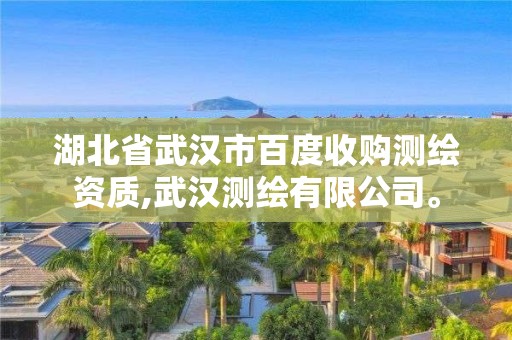 湖北省武漢市百度收購(gòu)測(cè)繪資質(zhì),武漢測(cè)繪有限公司。