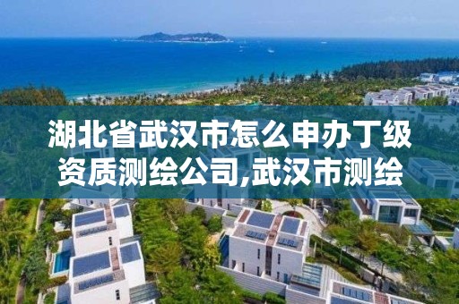 湖北省武漢市怎么申辦丁級資質測繪公司,武漢市測繪勘察設計甲級資質公司。