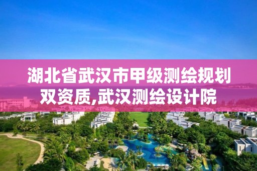 湖北省武漢市甲級測繪規劃雙資質,武漢測繪設計院