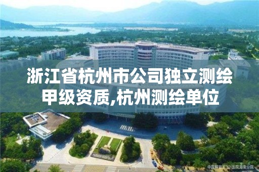 浙江省杭州市公司獨立測繪甲級資質,杭州測繪單位