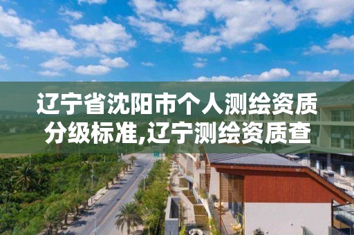 遼寧省沈陽市個人測繪資質分級標準,遼寧測繪資質查詢