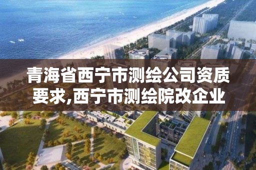 青海省西寧市測繪公司資質要求,西寧市測繪院改企業