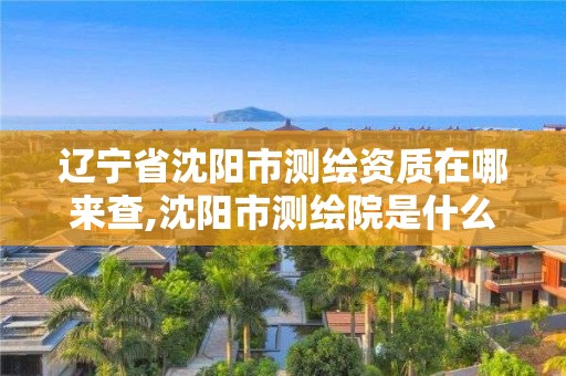 遼寧省沈陽市測(cè)繪資質(zhì)在哪來查,沈陽市測(cè)繪院是什么單位