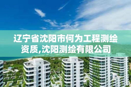 遼寧省沈陽市何為工程測繪資質,沈陽測繪有限公司