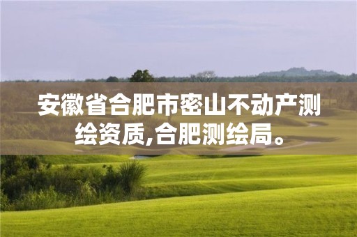 安徽省合肥市密山不動產測繪資質,合肥測繪局。