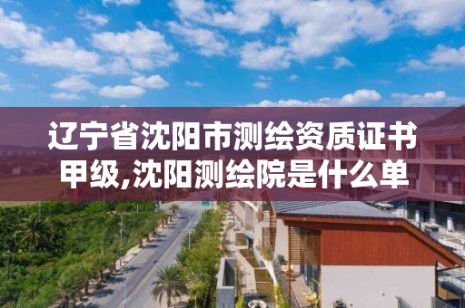 遼寧省沈陽市測繪資質證書甲級,沈陽測繪院是什么單位