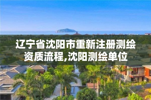 遼寧省沈陽市重新注冊測繪資質流程,沈陽測繪單位