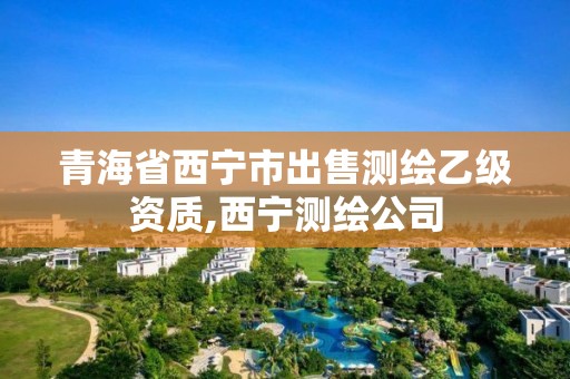 青海省西寧市出售測繪乙級資質(zhì),西寧測繪公司