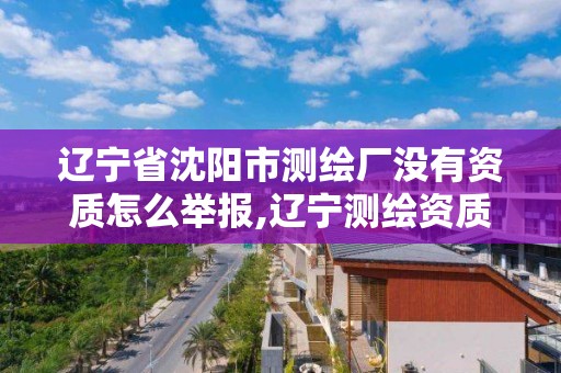 遼寧省沈陽市測繪廠沒有資質怎么舉報,遼寧測繪資質查詢