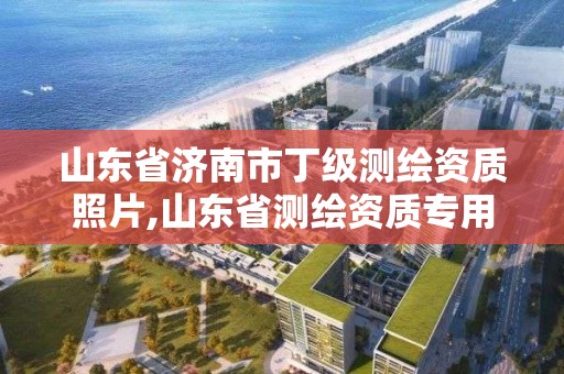 山東省濟(jì)南市丁級(jí)測(cè)繪資質(zhì)照片,山東省測(cè)繪資質(zhì)專用章 丁級(jí)