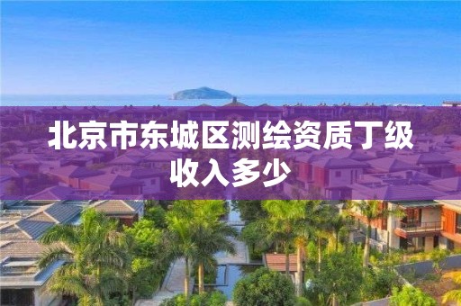 北京市東城區測繪資質丁級收入多少