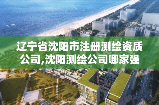 遼寧省沈陽市注冊測繪資質公司,沈陽測繪公司哪家強哪家好