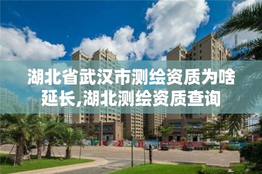 湖北省武漢市測繪資質(zhì)為啥延長,湖北測繪資質(zhì)查詢