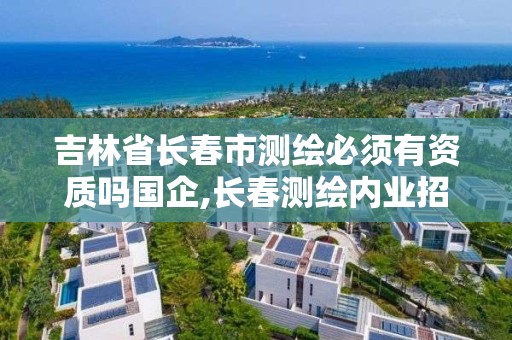 吉林省長春市測繪必須有資質嗎國企,長春測繪內業招聘。