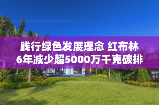 踐行綠色發展理念 紅布林6年減少超5000萬千克碳排放