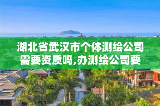 湖北省武漢市個體測繪公司需要資質嗎,辦測繪公司要多少錢。