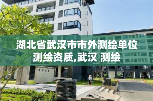 湖北省武漢市市外測繪單位測繪資質,武漢 測繪