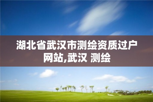 湖北省武漢市測繪資質過戶網站,武漢 測繪