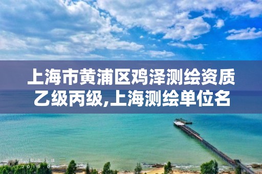 上海市黃浦區(qū)雞澤測繪資質(zhì)乙級丙級,上海測繪單位名單