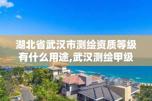 湖北省武漢市測繪資質等級有什么用途,武漢測繪甲級資質公司。