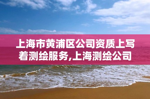 上海市黃浦區公司資質上寫著測繪服務,上海測繪公司招聘