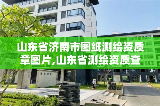 山東省濟南市圖紙測繪資質章圖片,山東省測繪資質查詢