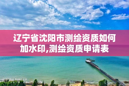 遼寧省沈陽市測繪資質如何加水印,測繪資質申請表