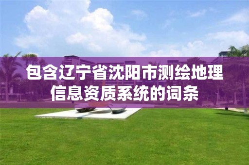 包含遼寧省沈陽市測繪地理信息資質系統的詞條