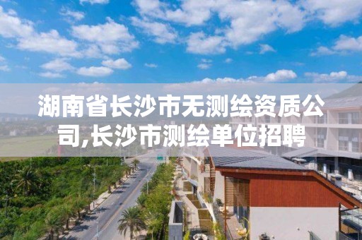 湖南省長沙市無測繪資質公司,長沙市測繪單位招聘