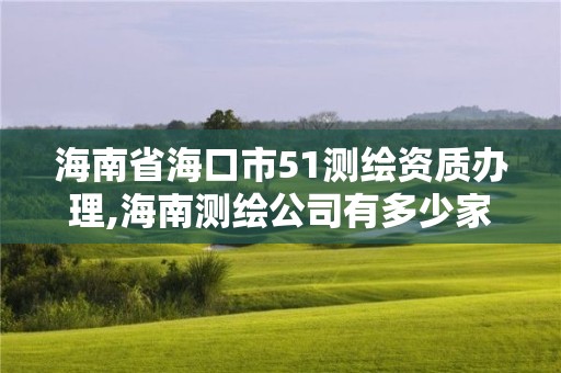 海南省海口市51測繪資質辦理,海南測繪公司有多少家