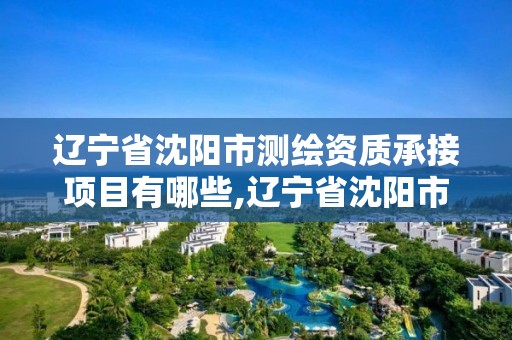 遼寧省沈陽市測繪資質承接項目有哪些,遼寧省沈陽市測繪資質承接項目有哪些公司