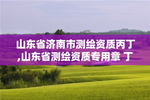 山東省濟南市測繪資質丙丁,山東省測繪資質專用章 丁級