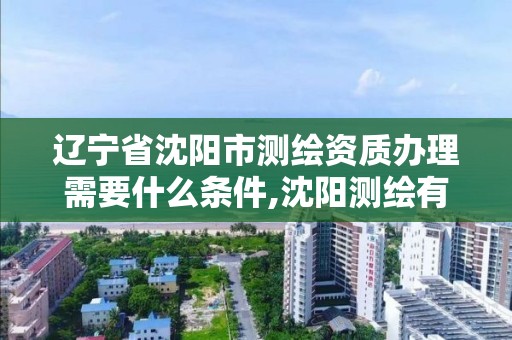 遼寧省沈陽市測繪資質辦理需要什么條件,沈陽測繪有限公司。