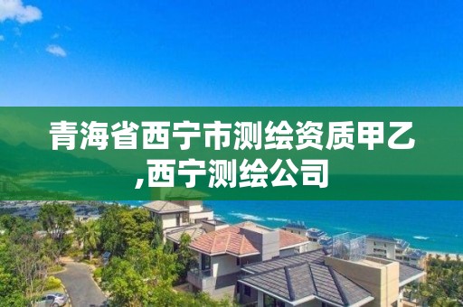 青海省西寧市測繪資質甲乙,西寧測繪公司