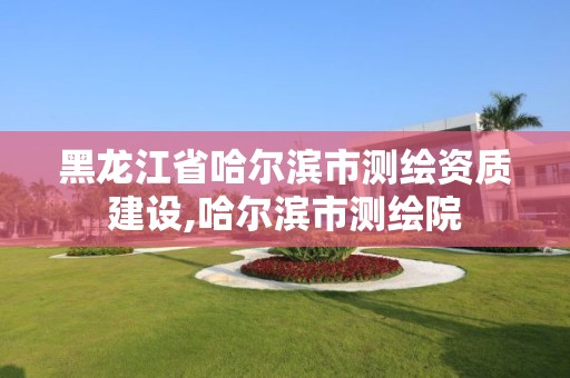 黑龍江省哈爾濱市測繪資質建設,哈爾濱市測繪院