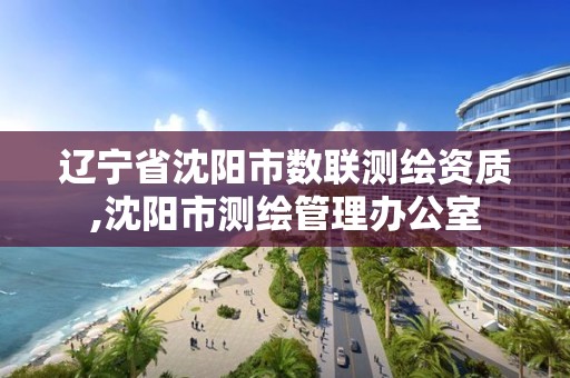 遼寧省沈陽市數(shù)聯(lián)測繪資質(zhì),沈陽市測繪管理辦公室