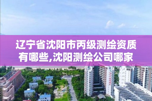 遼寧省沈陽市丙級測繪資質有哪些,沈陽測繪公司哪家強哪家好