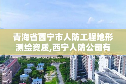 青海省西寧市人防工程地形測繪資質(zhì),西寧人防公司有哪些