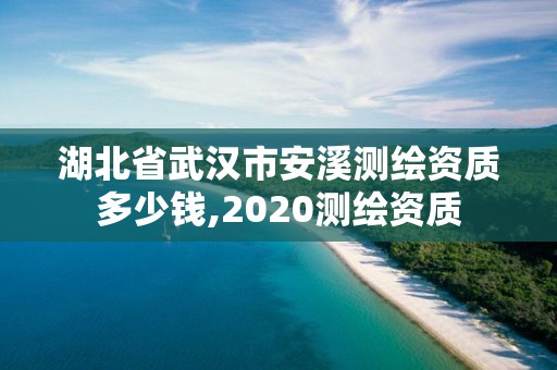 湖北省武漢市安溪測繪資質多少錢,2020測繪資質