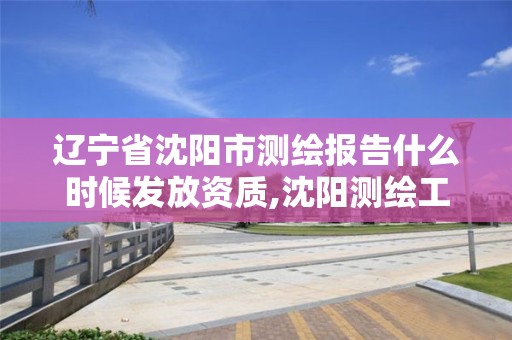 遼寧省沈陽市測繪報告什么時候發放資質,沈陽測繪工資。