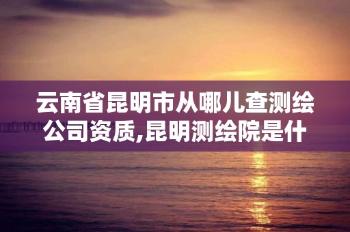 云南省昆明市從哪兒查測繪公司資質,昆明測繪院是什么單位。