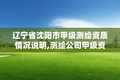 遼寧省沈陽市甲級測繪資質情況說明,測繪公司甲級資質是什么?