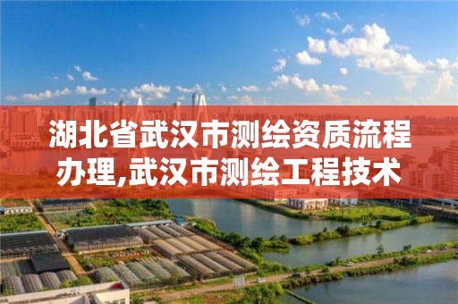 湖北省武漢市測繪資質流程辦理,武漢市測繪工程技術規定