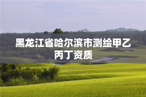 黑龍江省哈爾濱市測繪甲乙丙丁資質