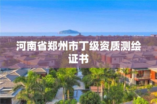 河南省鄭州市丁級資質測繪證書