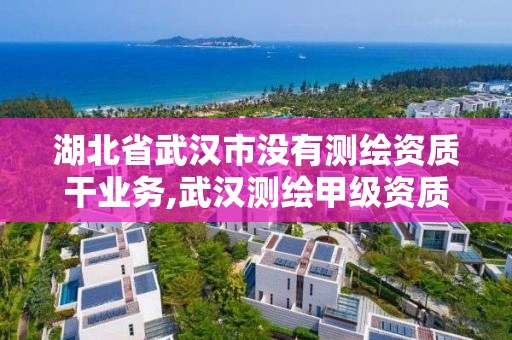 湖北省武漢市沒有測繪資質干業務,武漢測繪甲級資質公司