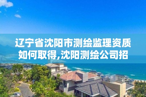 遼寧省沈陽市測繪監理資質如何取得,沈陽測繪公司招聘信息最新招聘