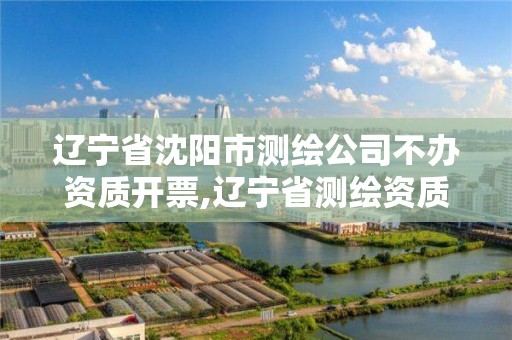 遼寧省沈陽市測繪公司不辦資質開票,遼寧省測繪資質延期